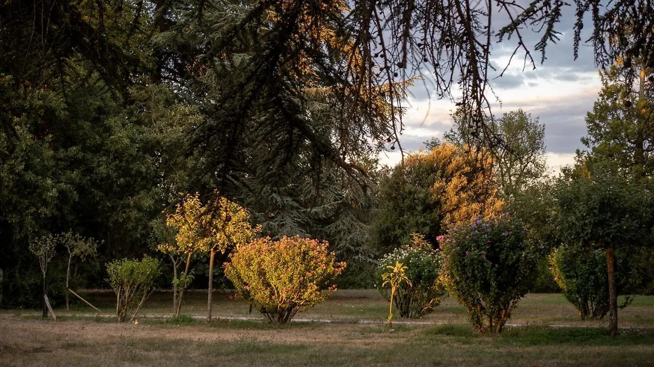 Chateau Marteret Vic-Fezensac